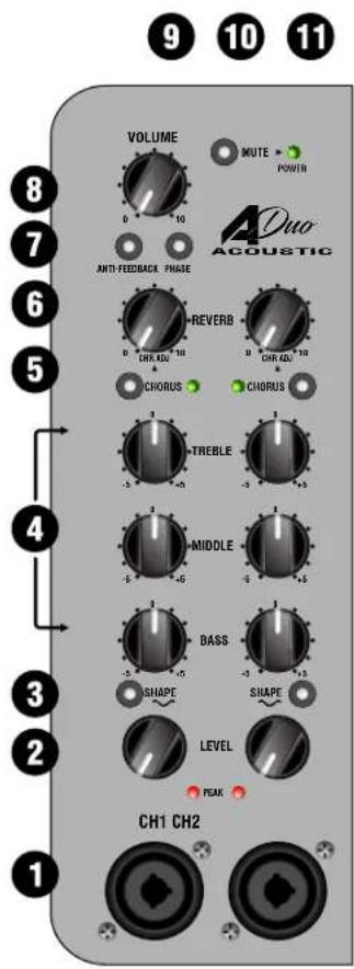 Laney A-DUO - FRONT PANEL CONTROLS - 2