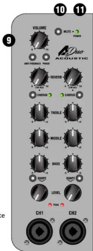 Laney A-DUO - ENTRADA DE RED E INTERRUPTOR DE ENERGÍA: - 1