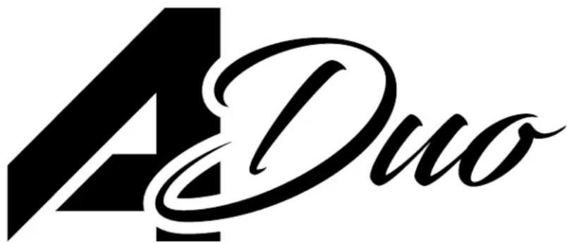 Laney A-DUO - 1