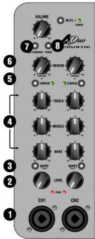 Laney A-DUO - CONTROLES PANEL DELANTERO - 2