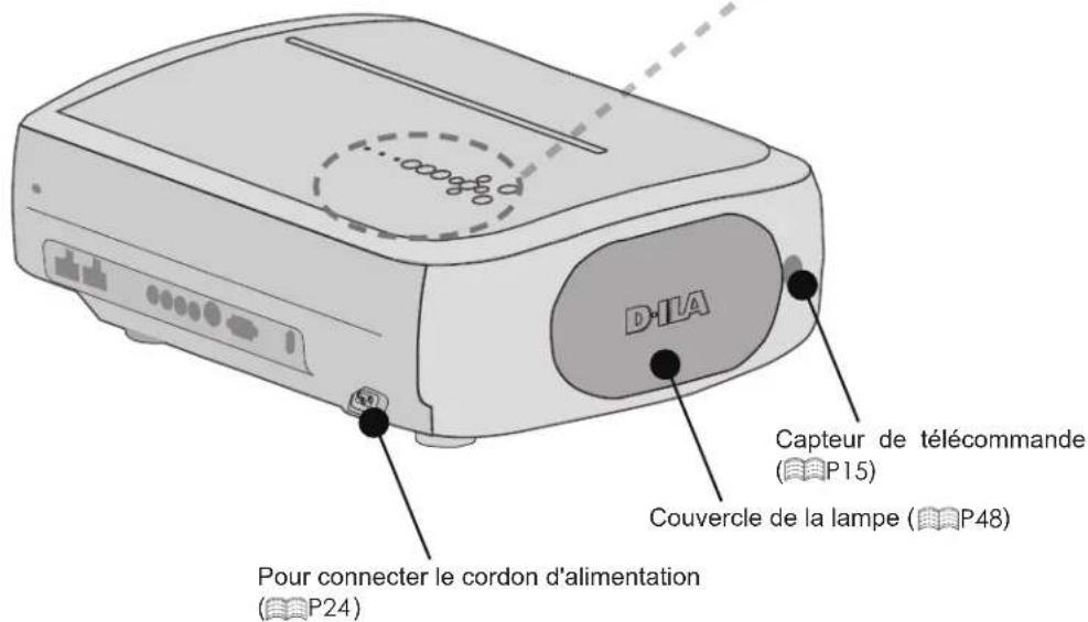 Anthem LTX 500v - ■ Face arrière / Face du dessus / Face droite - 1