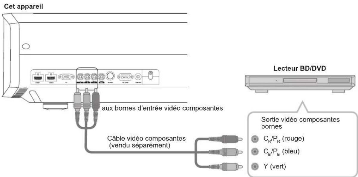 Anthem LTX 500v - Raccordements - 2