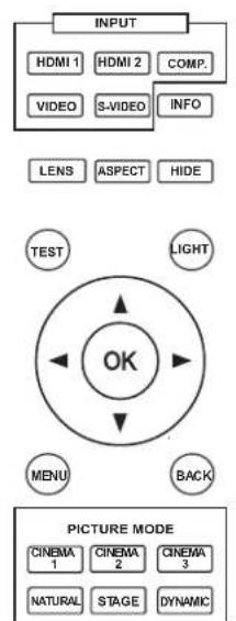 Anthem LTX 500v - About this Manual - 1