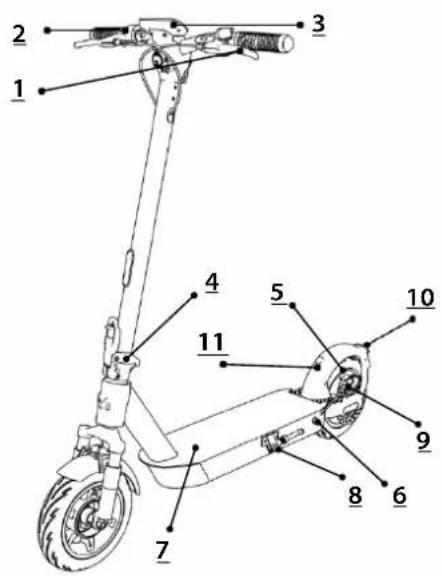 Motus Scooty 10 Pro - Descripción dediseño - 1