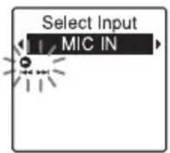 Select Input MIC IN