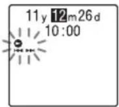 11y 12m26d 10:00