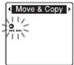 Move & Copy