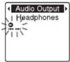 Audio Output Headphones