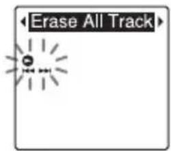 Erase All Track