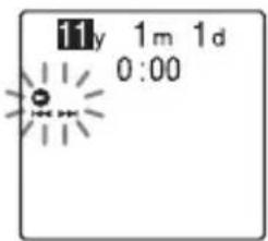 11y 1m 1d 0:00