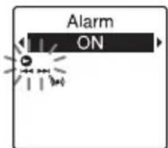Alarm ON