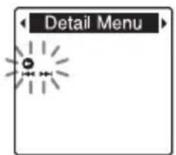 Detail Menu