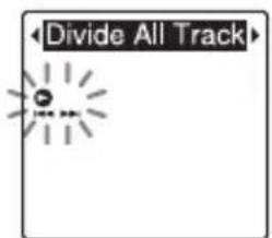 Divide All Track