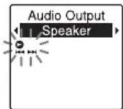 Audio Output Speaker