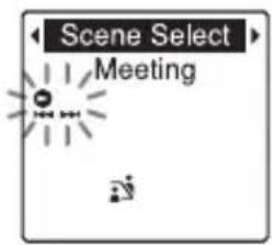 Scene Select Meeting