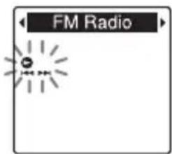 FM Radio