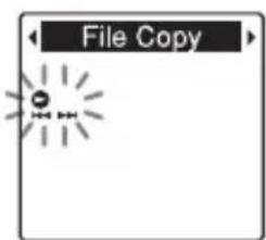 File Copy
