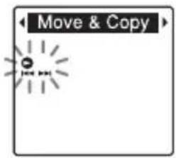 Move & Copy
