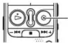 SONY ICD-AX412FS - Tip - 1