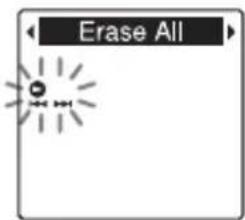 Erase All