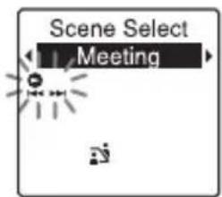 Scene Select Meeting