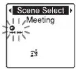 Scene Select Meeting