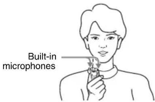 Built-in microphones