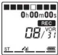 0h00m00s REC 08/31 ST #1