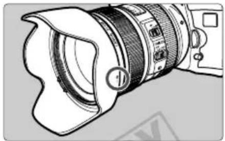 CANON EF 24-105mm 1:4L IS USM - Hood - 2