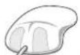 MORPHY RICHARDS 47910 ARC - Grind consistency - 2