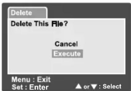 Delete Delete This File? Cancel Execute Menu : Exit Set : Enter ▲ or ▼ : Select