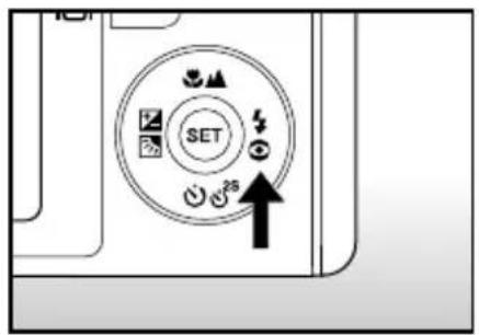 SET 25
