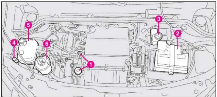 FIAT Doblo (2009) - CHECKING THE LEVELS - 3