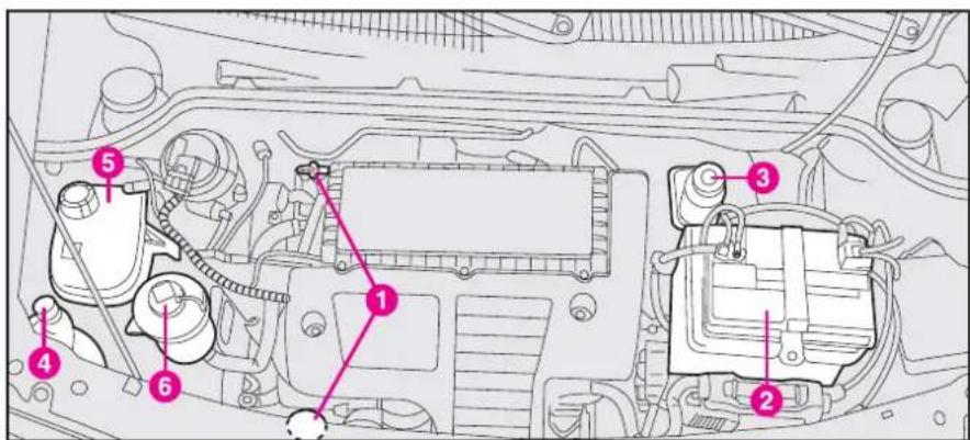 FIAT Doblo (2009) - CHECKING THE LEVELS - 7