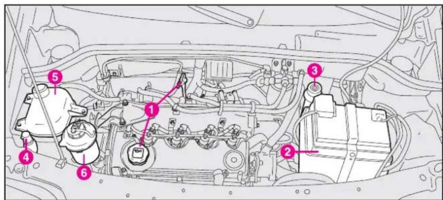 FIAT Doblo (2009) - CHECKING THE LEVELS - 4