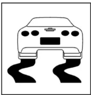 CHEVROLET Corvette (2008) - Active Handling System Light - 1