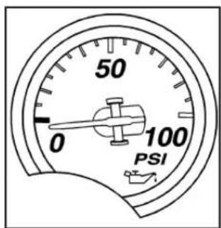 CHEVROLET Corvette (2008) - Emissions Inspection and Maintenance Programs - 3