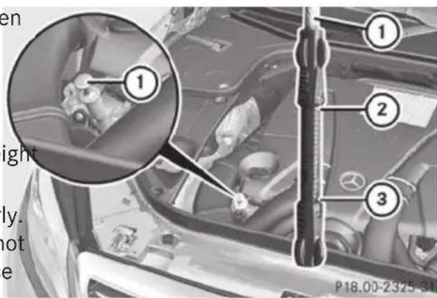 Mercedes-Benz S-Class - WARNING - 1