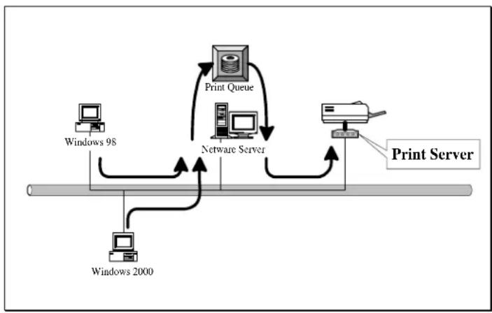 AIRLIVE P-201 - System Architecture - 1