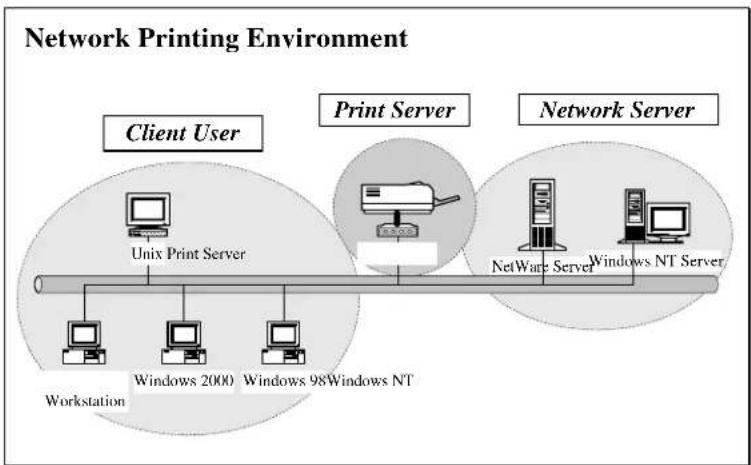AIRLIVE P-201 - Network Printing Architecture - 1