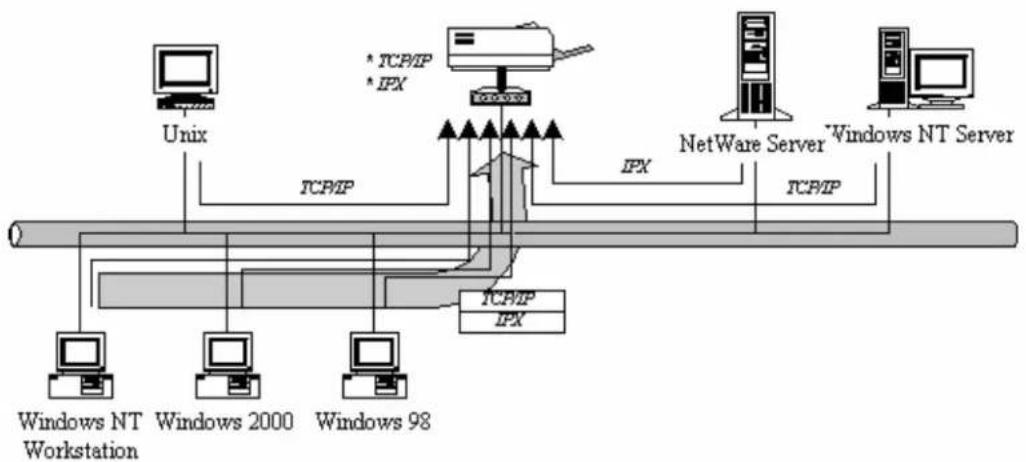 AIRLIVE P-201 - Network Printing Architecture - 2