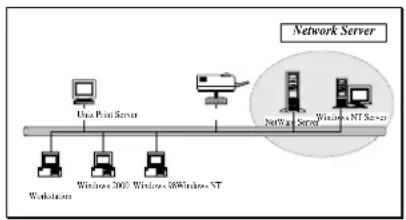 AIRLIVE P-201 - Network Printing Functions for Network Server - 1