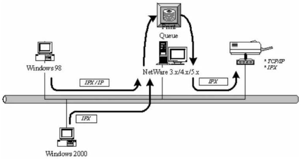 AIRLIVE P-201U - Network Printing Environment - 3