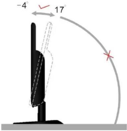 AOC e950Sw - Adjusting Viewing Angle - 1