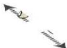 Adj 400-00009 - ■ Gebaren met de vingers - 6