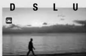 D S L U