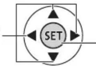 CANON Legia HF R17 - Joystick and Joystick Guide - 1