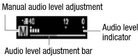 CANON Legia HF R17 - Adjust () the audio level as necessary. - 1