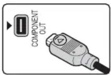 COMPONENT OUT