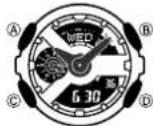 CASIO GA-110C-1AER - About This Manual - 2
